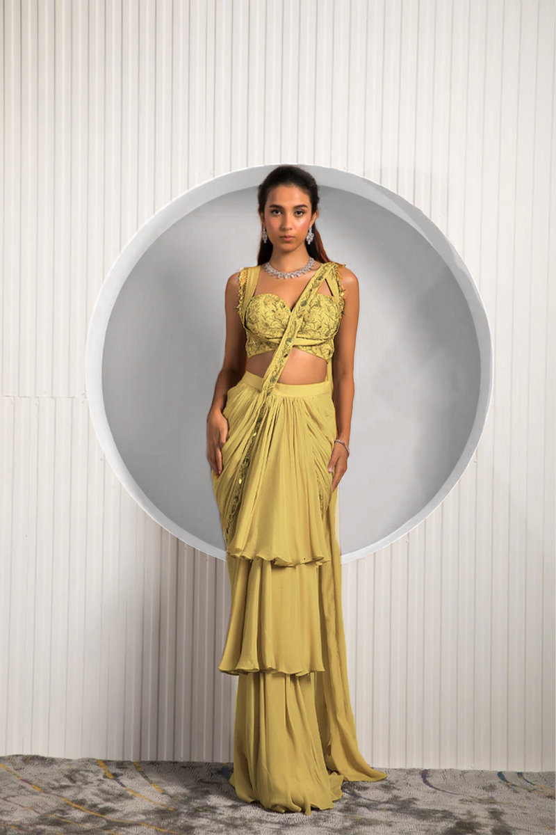 Gold Tan Saree
