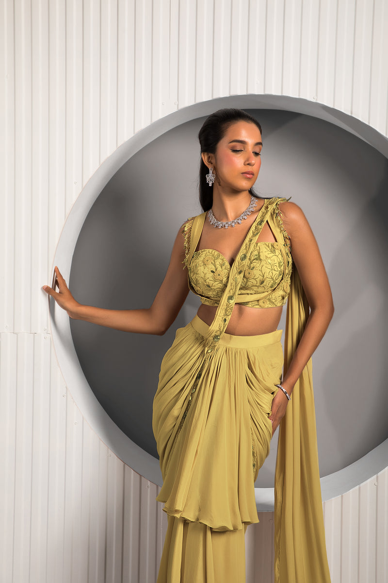 Gold Tan Saree