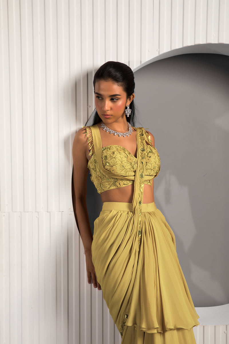 Gold Tan Saree