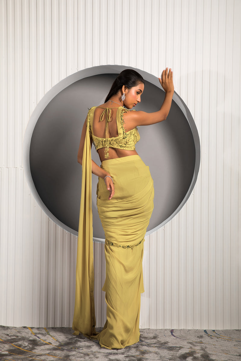 Gold Tan Saree