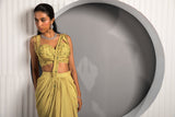 Gold Tan Saree